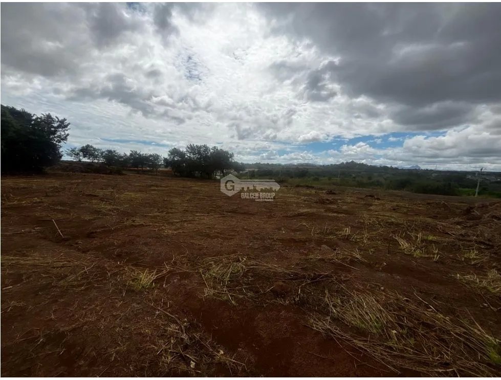 Building Lot for sale in Chorrera