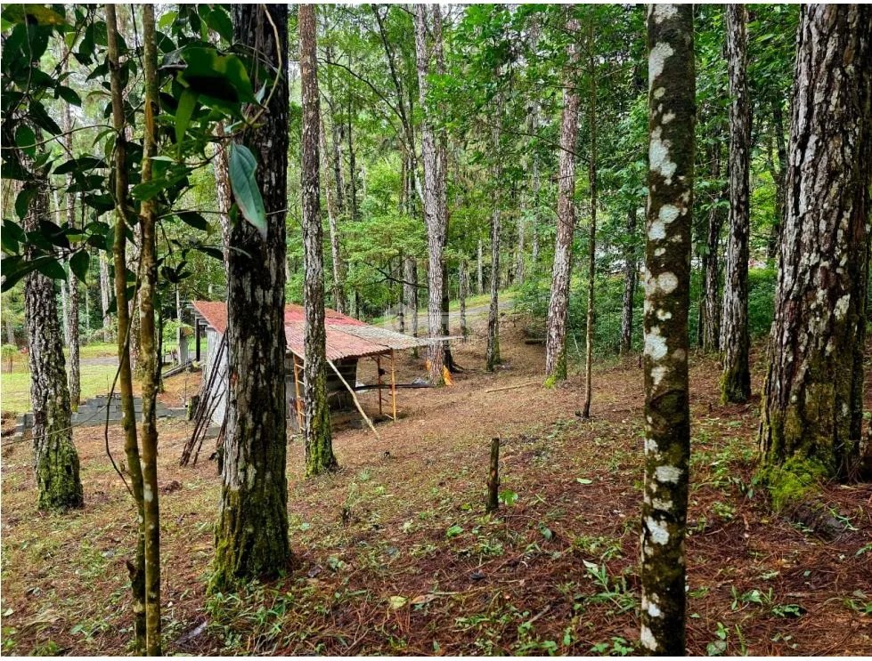 CERRO AZUL / TERRENO SEMI PLANO / 1218M / CLIMA FRIO / FRENTE A VIA