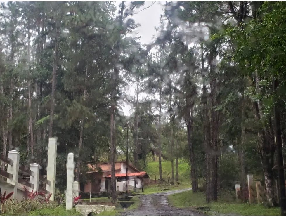 CERRO AZUL / TERRENO SEMI PLANO / 1218M / CLIMA FRIO / FRENTE A VIA