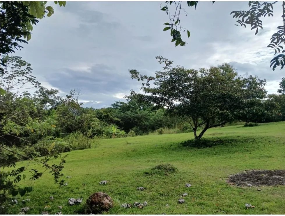 Building Lot for sale in San Carlos