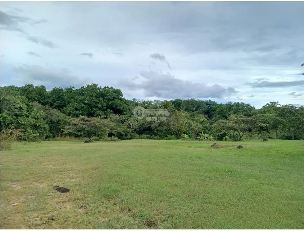Building Lot for sale in San Carlos