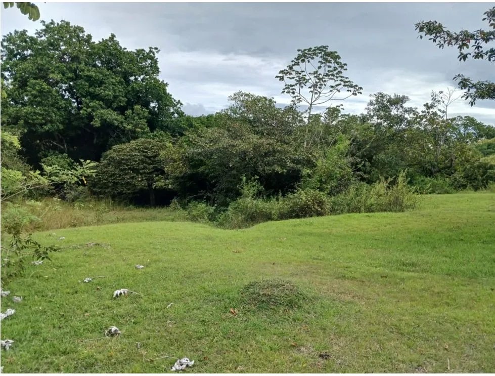 Building Lot for sale in San Carlos