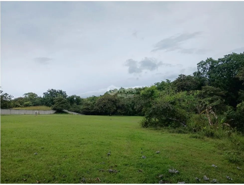 Building Lot for sale in San Carlos