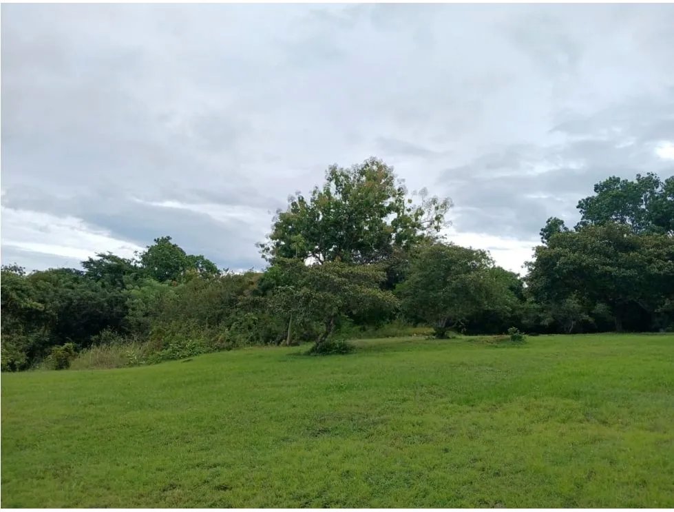 Building Lot for sale in San Carlos
