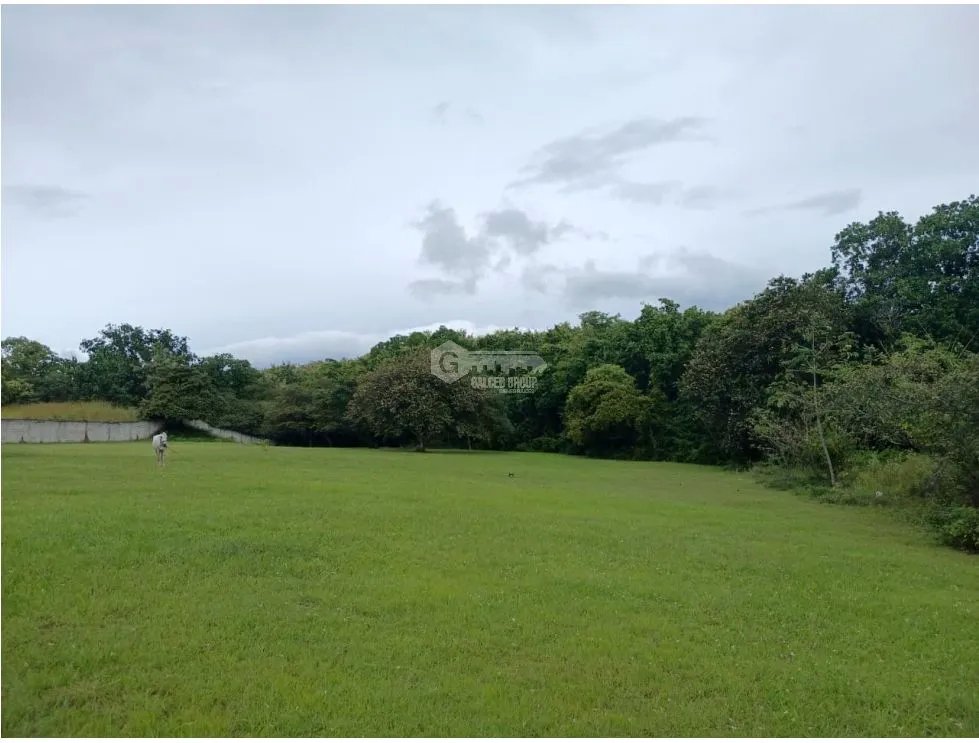 Building Lot for sale in San Carlos
