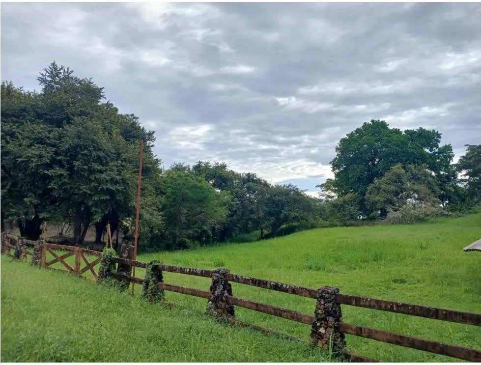 Building Lot for sale in San Carlos