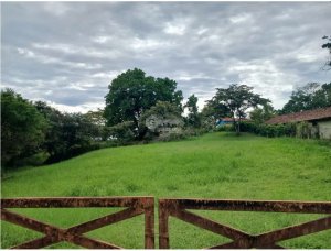 Las Lagartijas / San Carlos / 3000 M / Near River / Water & Electric