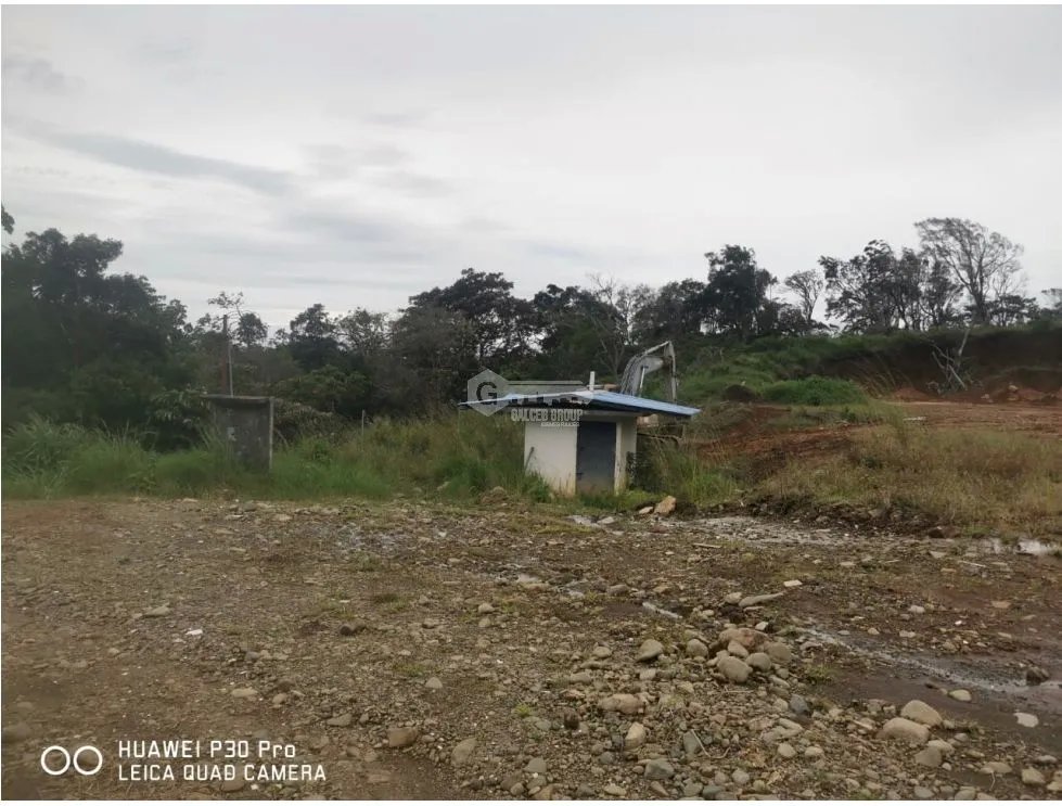 TERRENO / BOQUETE / BAJO JARAMILLO / 3.3 HECTAREAS / PARA DESARROLLO