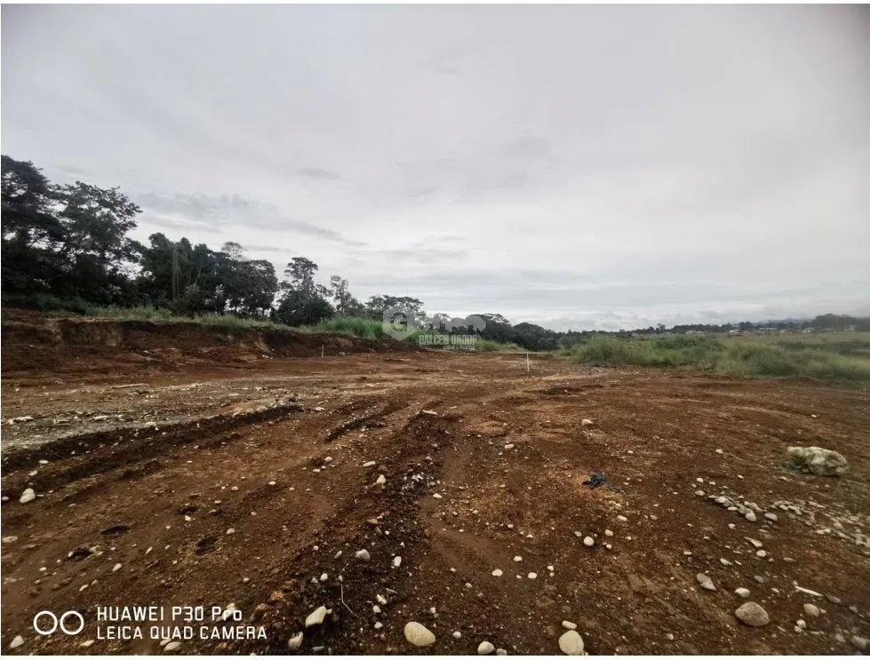 TERRENO / BOQUETE / BAJO JARAMILLO / 3.3 HECTAREAS / PARA DESARROLLO