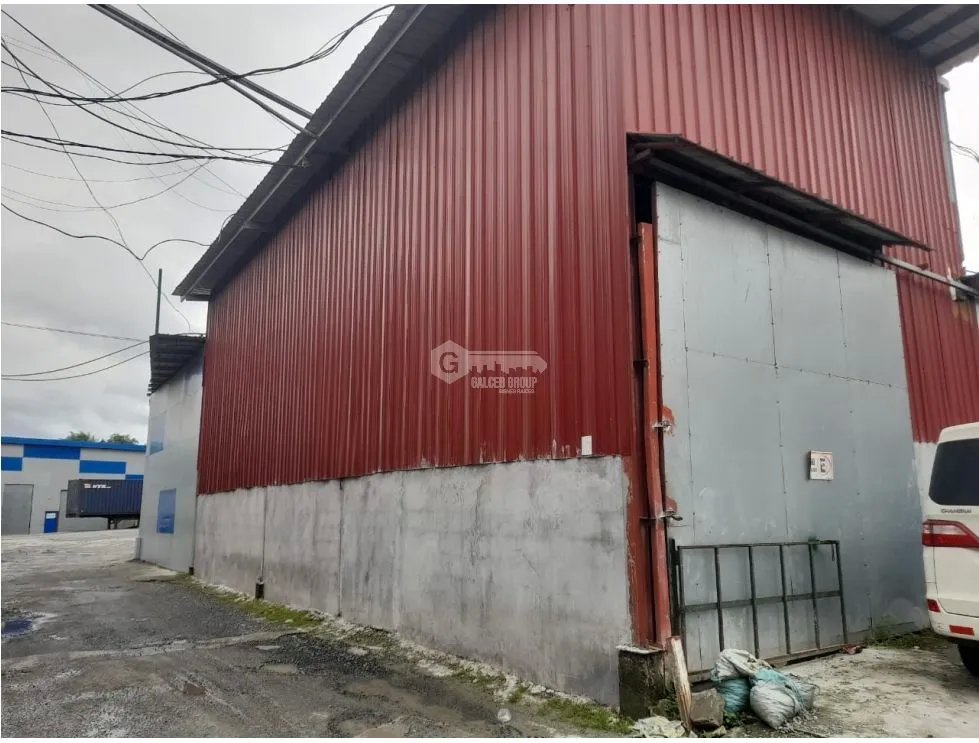 Warehouse for rent in Tocumen