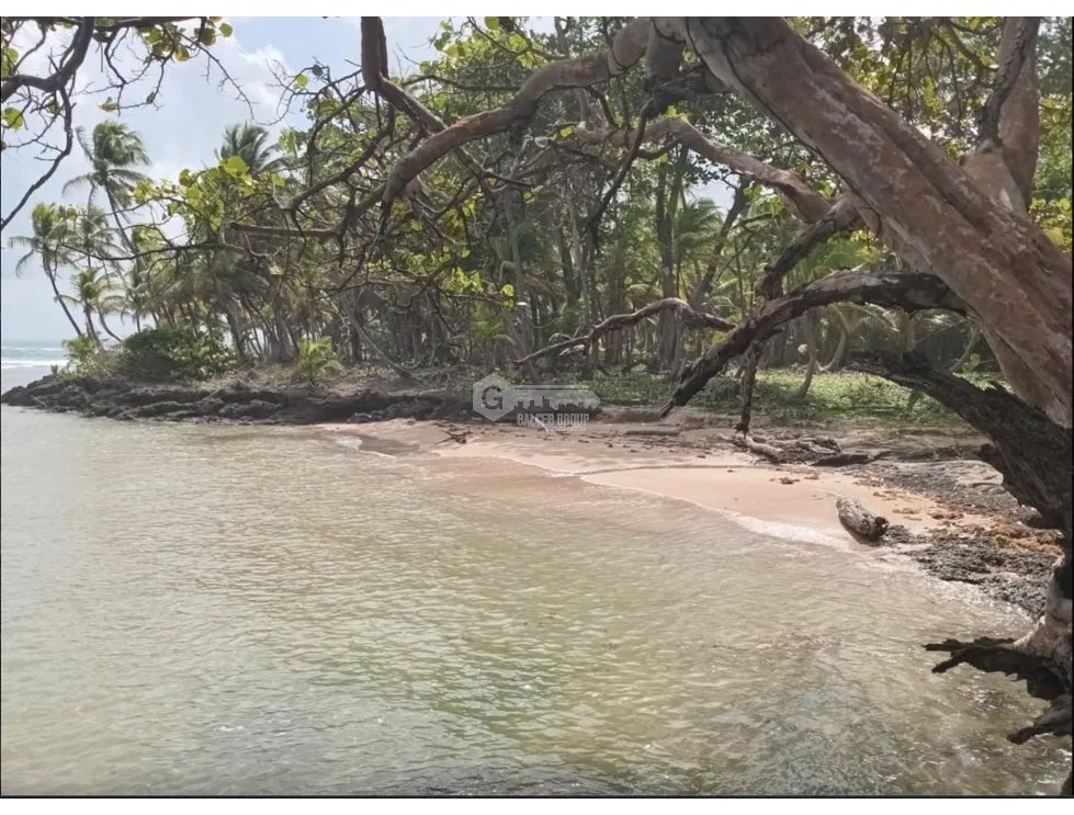 COLON / PLAYA CHIQUITA / 100 HECTAREAS / PARA DESARROLLO FRENTE AL MAR