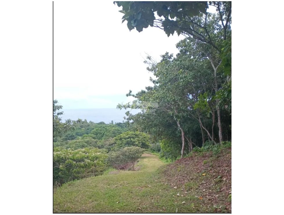 Building Lot for sale in Santa Isabel