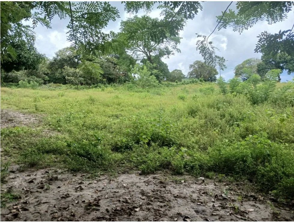 LAS LAJAS / CHAME / TERRENO / 1000 M / AG