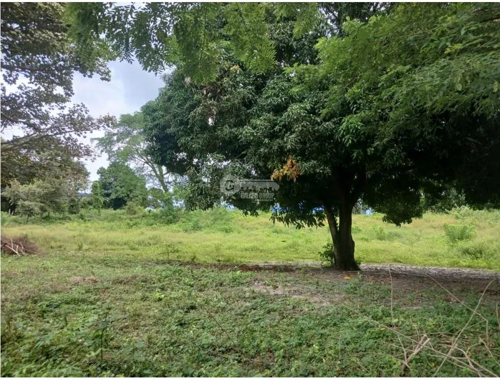 Building Lot for sale in Chame