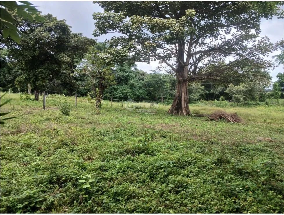 Building Lot for sale in Chame