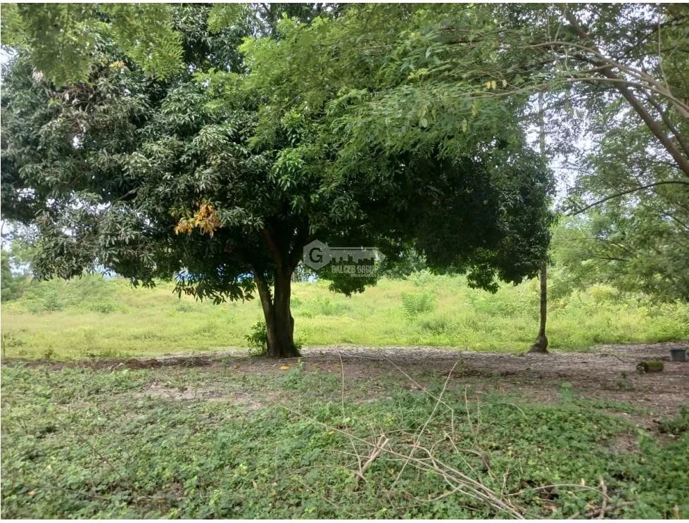 Building Lot for sale in Chame