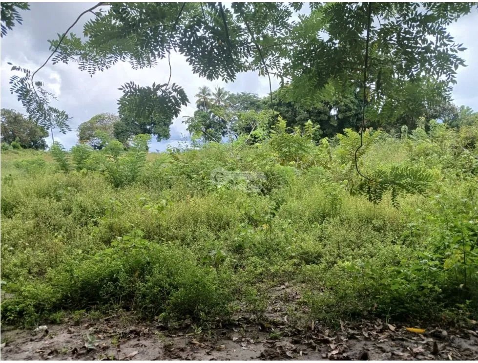 Building Lot for sale in Chame