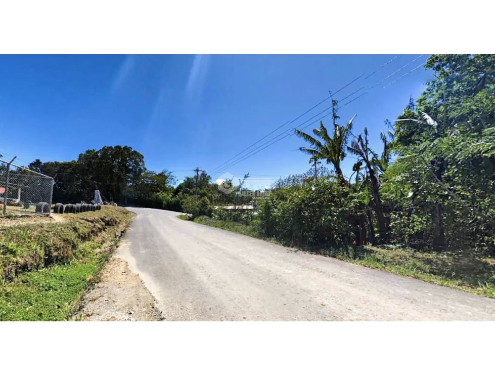 CHIRIQUI / BOQUETE / PALMIRA ABAJO / TERRENO / 1 HECTAREA
