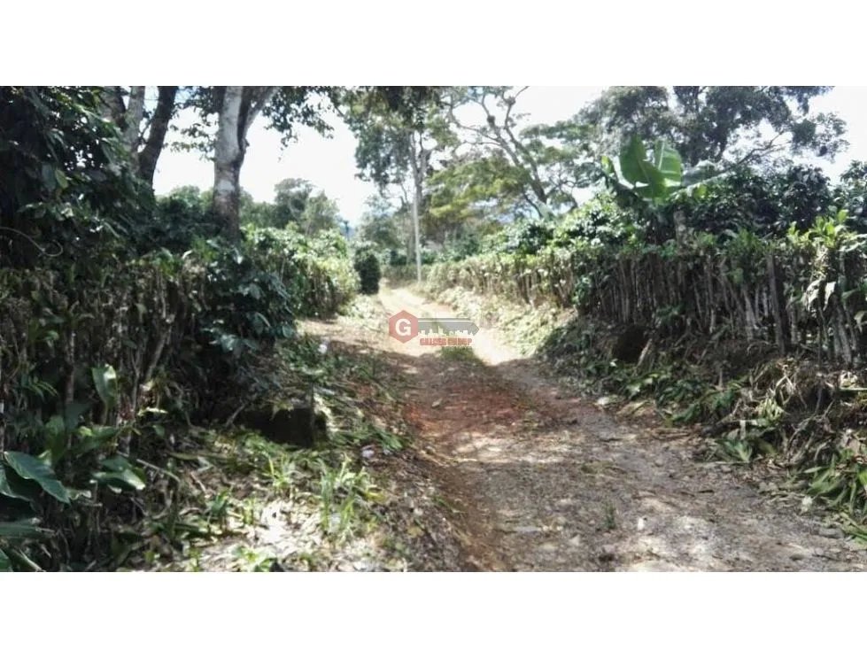 Building Lot for sale in Boquete