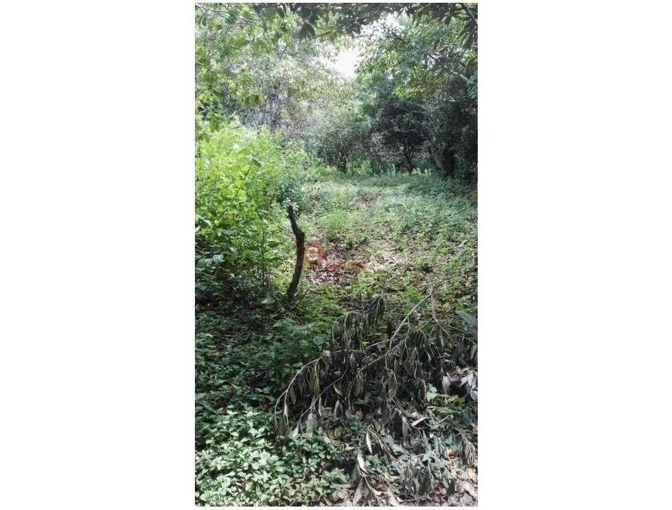 Building Lot for sale in Boquete