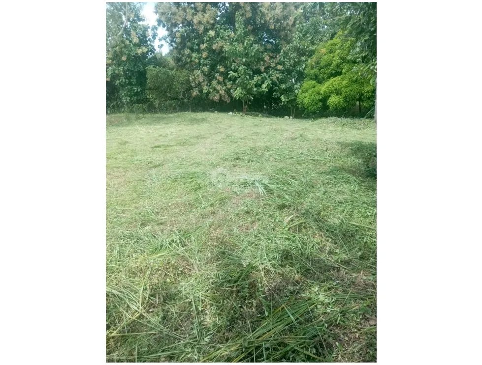 Building Lot for sale in Rio Mar
