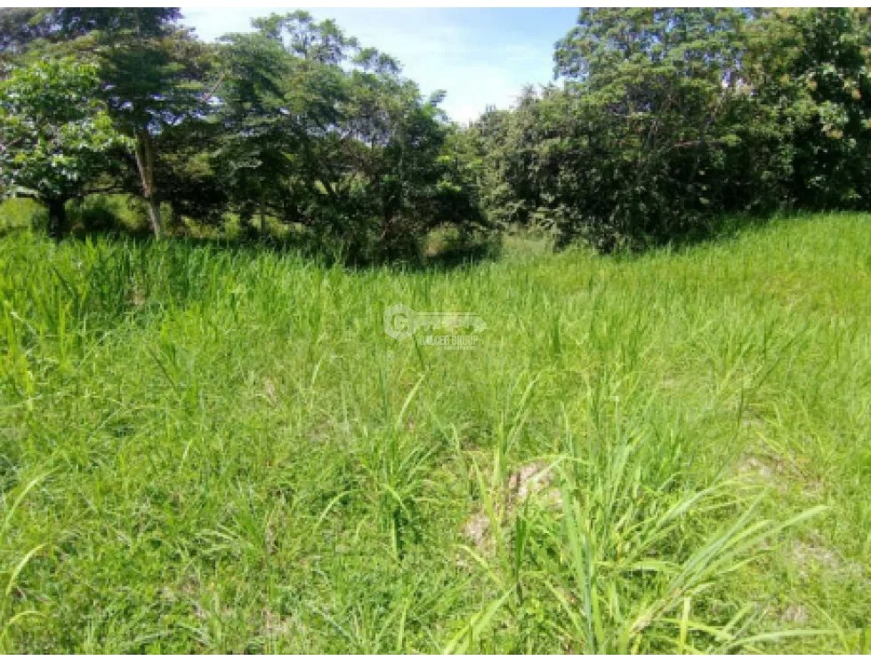 Building Lot for sale in Rio Mar