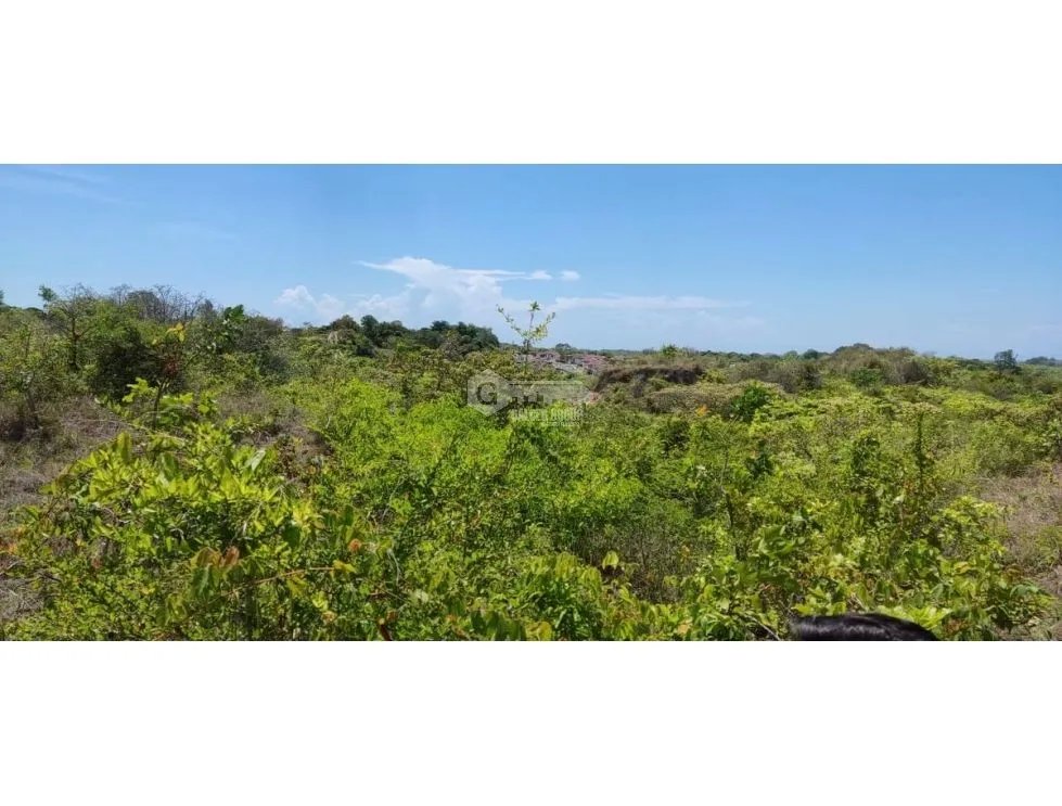 Building Lot for sale in San Carlos