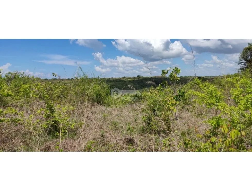 Building Lot for sale in San Carlos