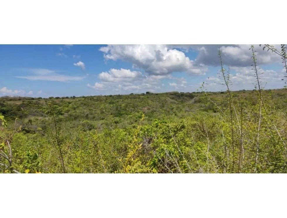 Building Lot for sale in San Carlos