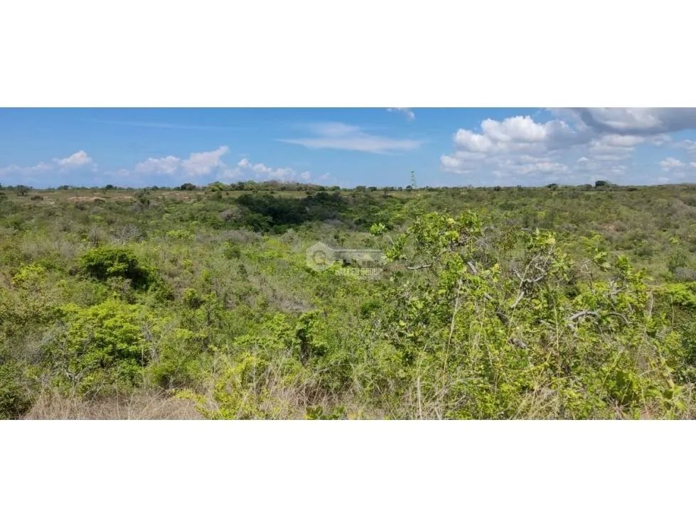 Building Lot for sale in San Carlos