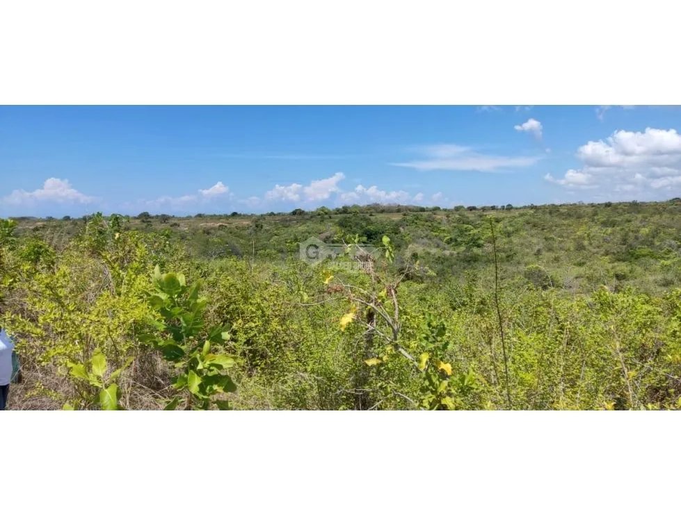 Building Lot for sale in San Carlos
