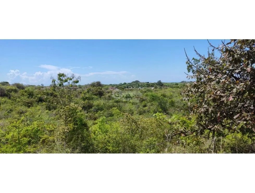 Building Lot for sale in San Carlos