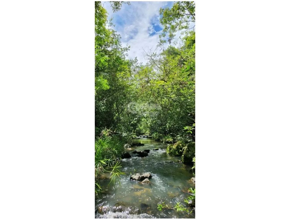 Building Lot for sale in San Carlos