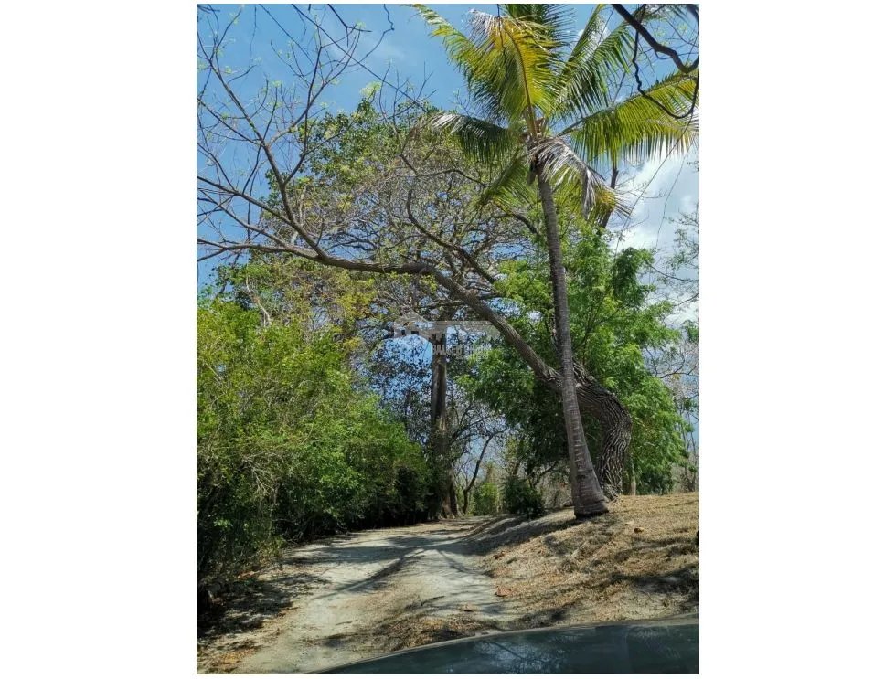 Land/Farm for sale in San Carlos