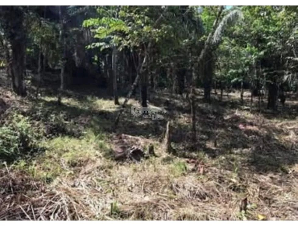 VILLA GRECIA / ALCADE DIAZ / ROD CAREW / TERRENO 2 HECTAREAS AS