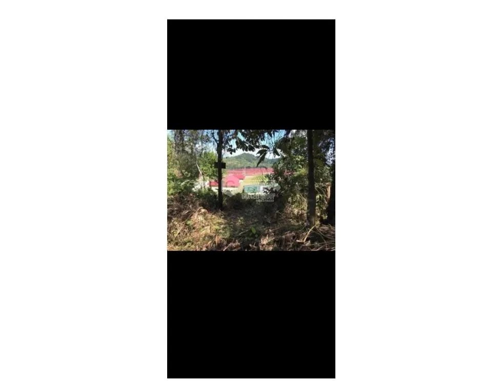 VILLA GRECIA / ALCADE DIAZ / ROD CAREW / TERRENO 2 HECTAREAS AS