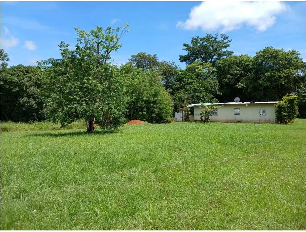 Building Lot for sale in San Carlos