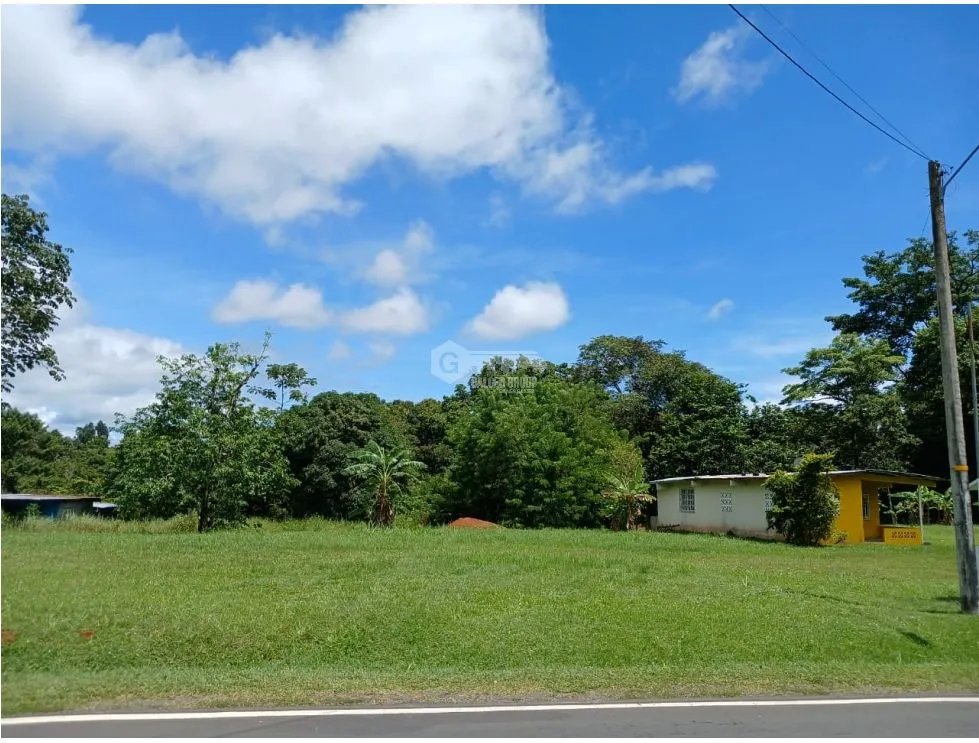 Building Lot for sale in San Carlos