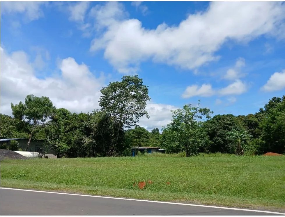 Building Lot for sale in San Carlos