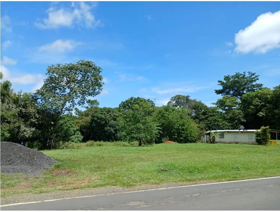 Building Lot for sale in San Carlos