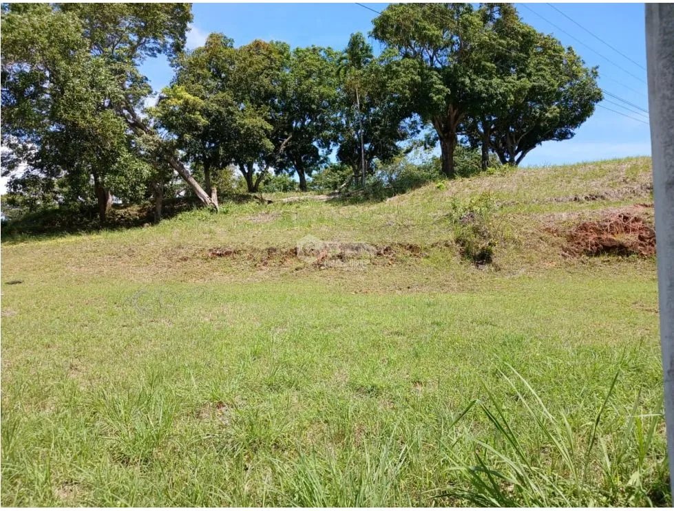 Building Lot for sale in San Carlos