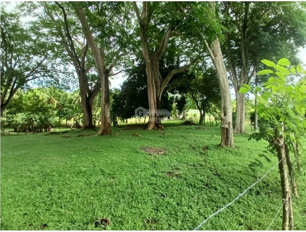 SAN CARLOS / LA ERMITA /1200M / A 5 MINUTOS DE LA PLAYA / AG