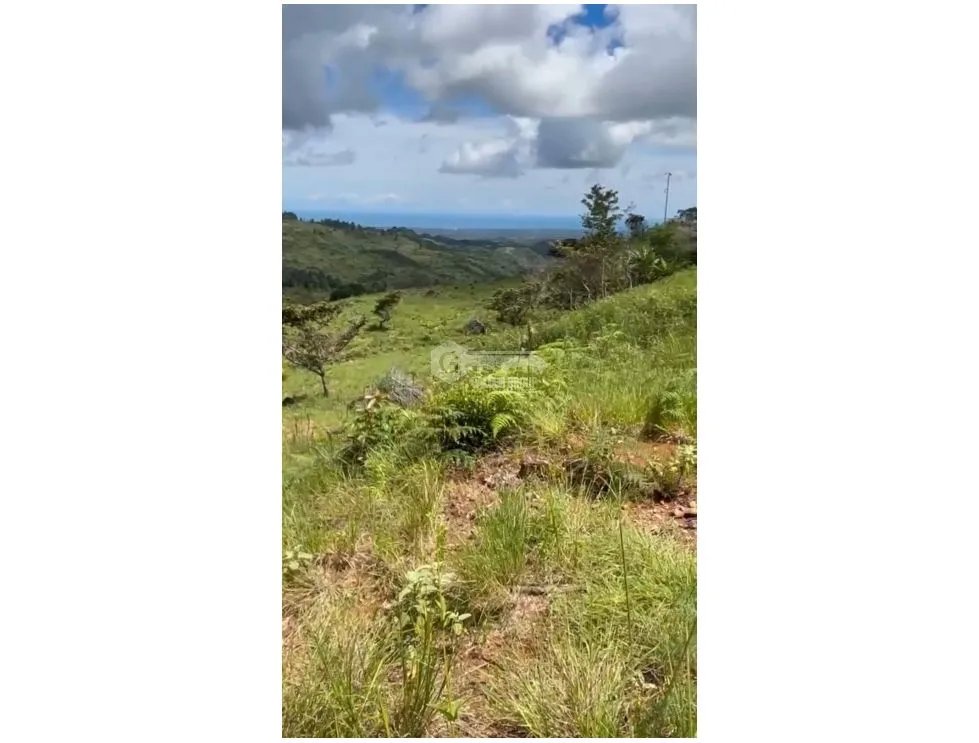 Building Lot for sale in San Carlos