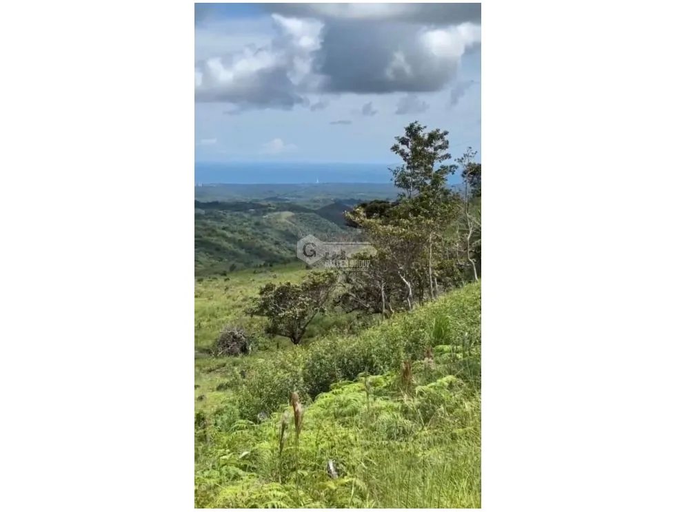 Building Lot for sale in San Carlos