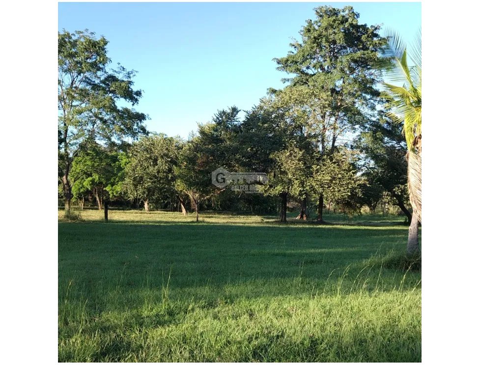 CORONADO / BOULEVARD / 6.8 HECTAREA / 50.00M / TERRENO PARA DESARROLLO