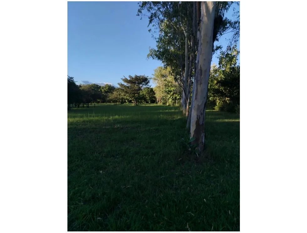 CORONADO / BOULEVARD / 6.8 HECTAREA / 50.00M / TERRENO PARA DESARROLLO