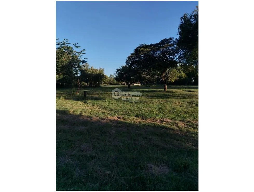 CORONADO / BOULEVARD / 6.8 HECTAREA / 50.00M / TERRENO PARA DESARROLLO