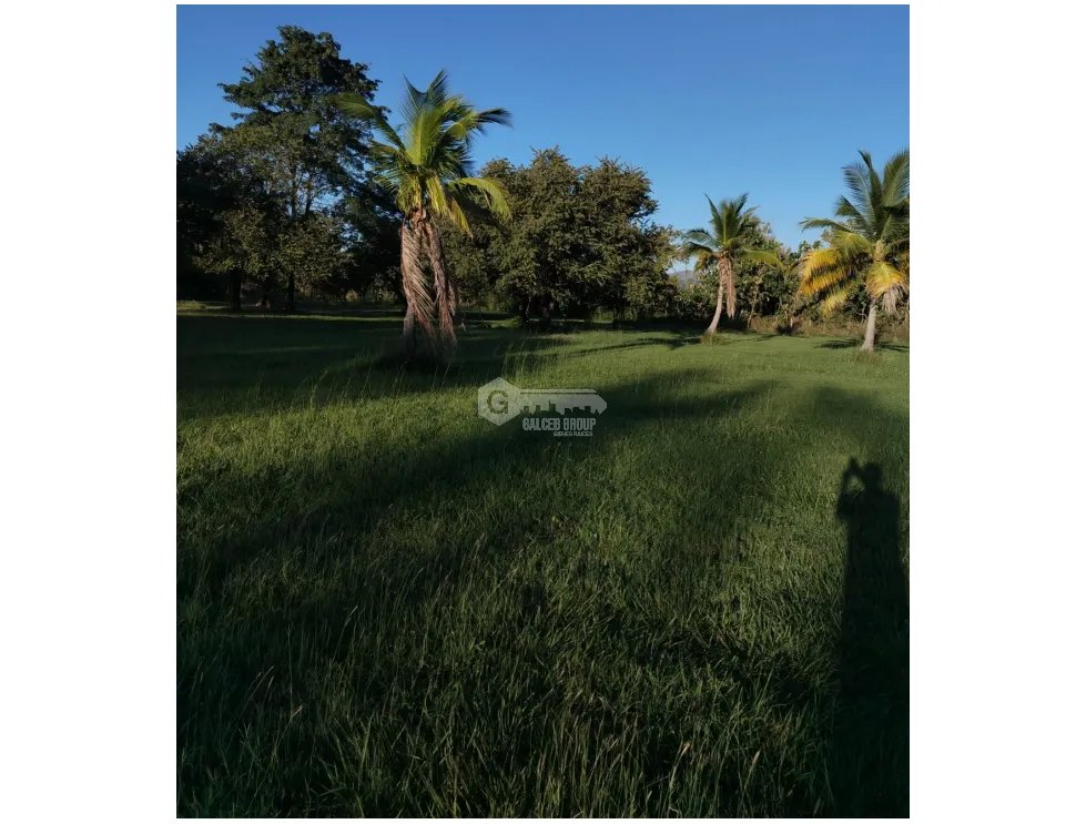 CORONADO / BOULEVARD / 6.8 HECTAREA / 50.00M / TERRENO PARA DESARROLLO