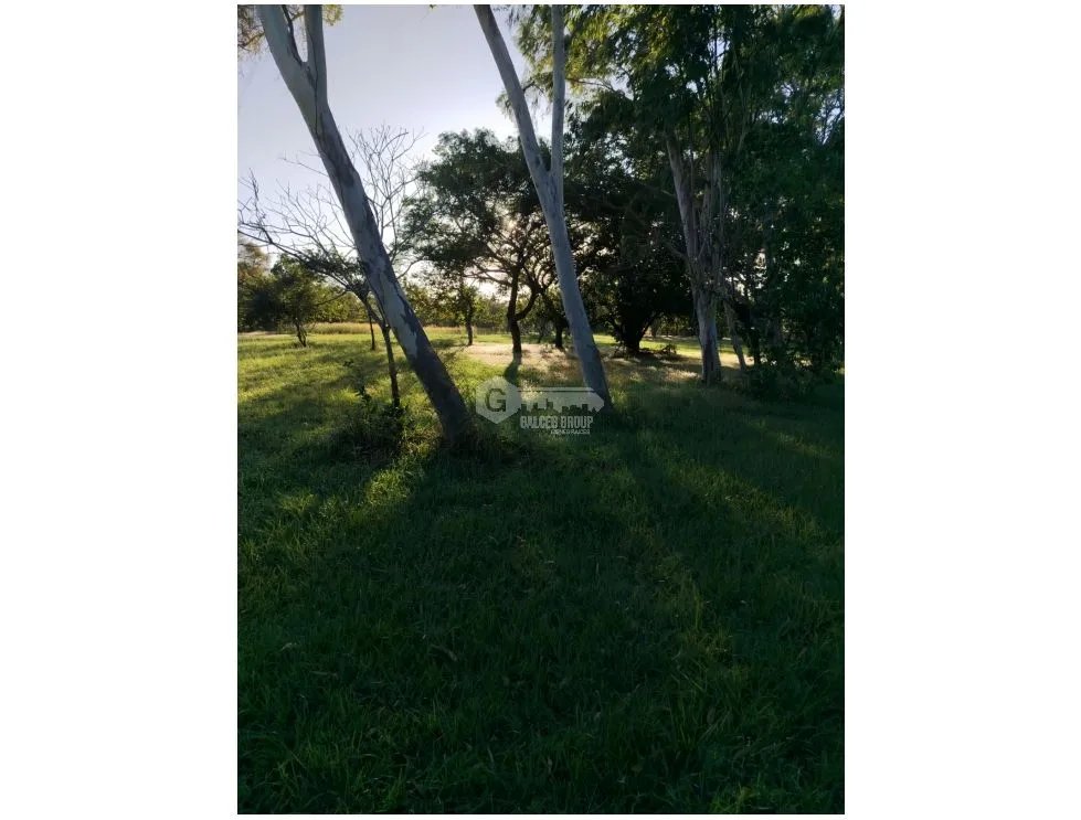 CORONADO / BOULEVARD / 6.8 HECTAREA / 50.00M / TERRENO PARA DESARROLLO