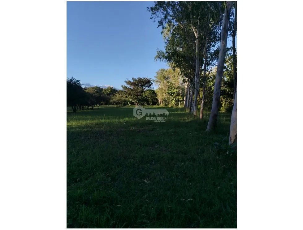 BOULEVARD / CORONADO / FINCA PLANA / 14 HECTÁREAS / 50.00 m2